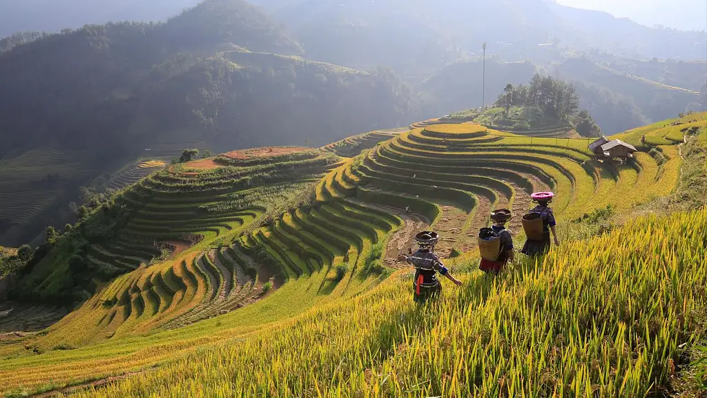 8 Day North & Central Vietnam - Hanoi to Hoi An | G Adventures 18 to 35's