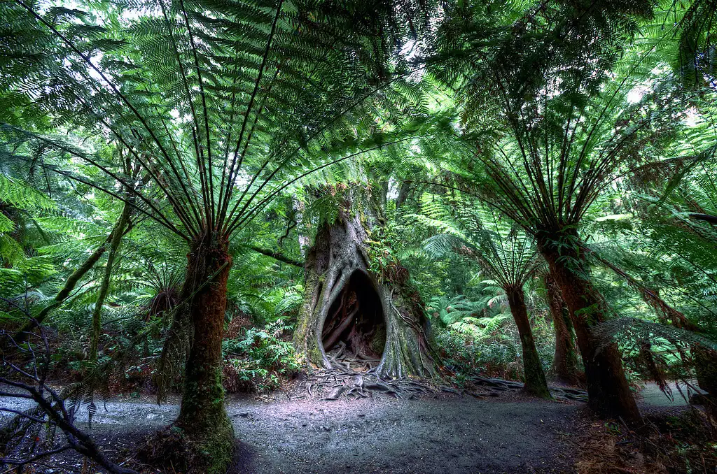 2 Day Great Ocean Road & Grampians Tour | Start & End Melbourne