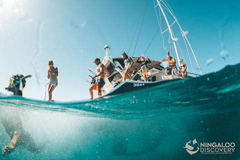 Best Ningaloo Reef Dive