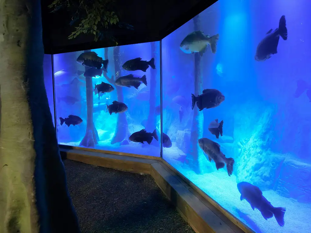 Sea Life London Aquarium | Standard Entry (Off Peak)