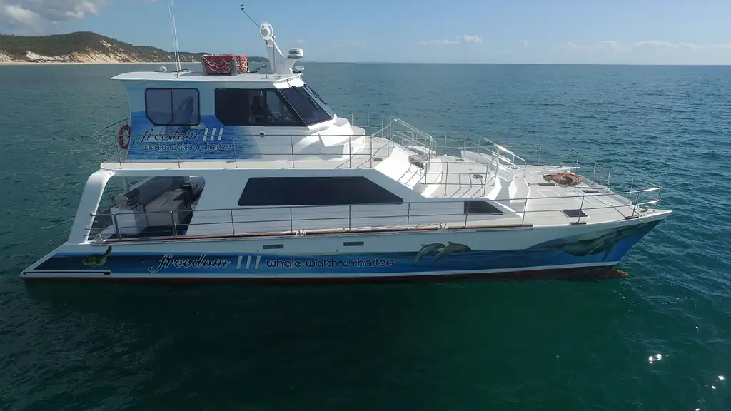 Freedom Premium 3/4 Day Whale Watch Cruise - spend more time with the whales