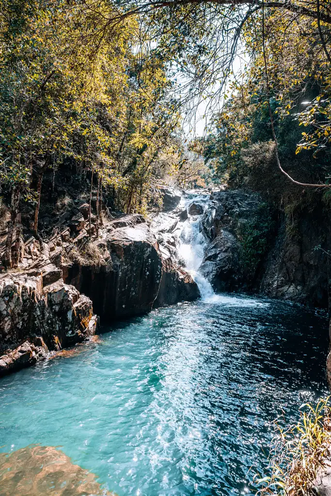 Platypus Paradise Tour | Day Tour from Mackay