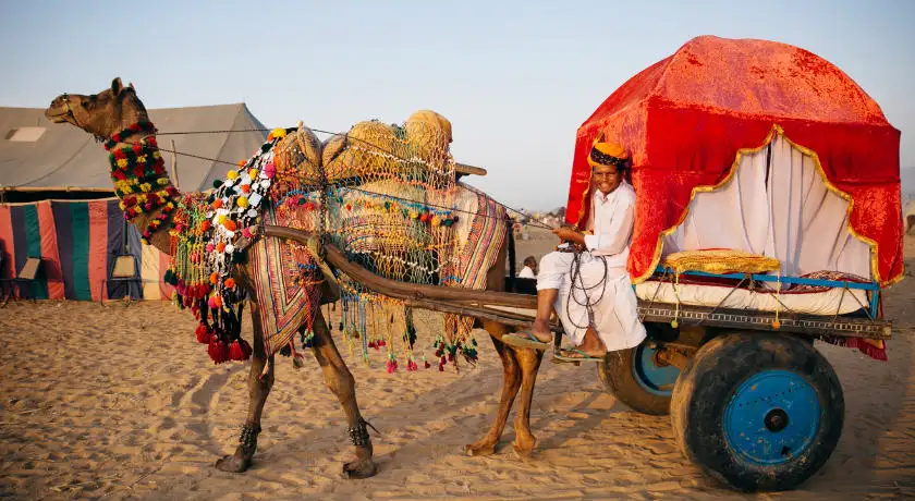 Discover North & South India