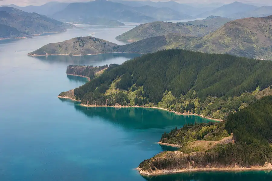 Bay of Many Coves Helicopter Tour With 3 Course Lunch