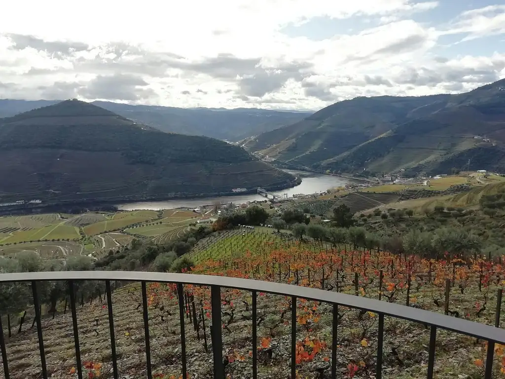 Douro Valley Tour | Wine tasting, Lunch and River Cruise