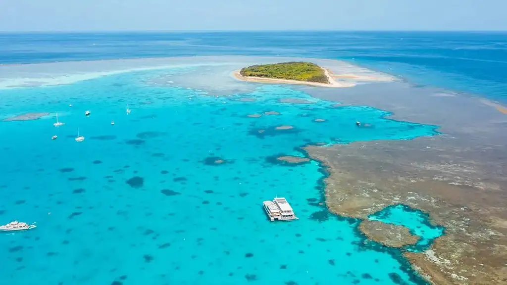 Lady Musgrave Experience Southern Great Barrier Reef Full Day Tour - Departs Bundaberg