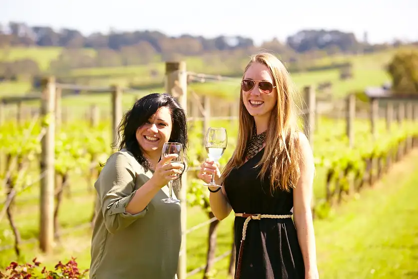 Yarra Valley Wine Grazing Tour | From Melbourne