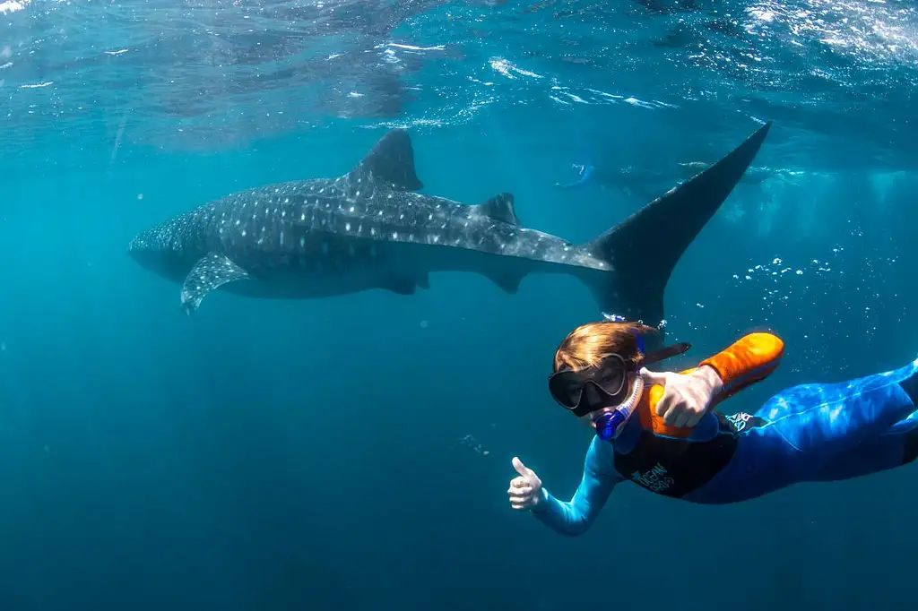 11 Day Perth to Broome West Coast - Small Group Camping Tour