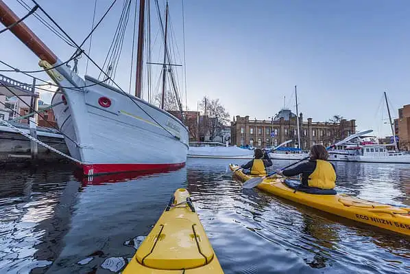 A small group of kayakers paddling around one of Hobart's docks. Docked sail boats are dotted around the kayakers.