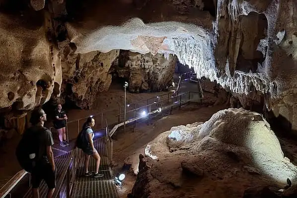 Cutta Cutta Caves limestone formations guided tour