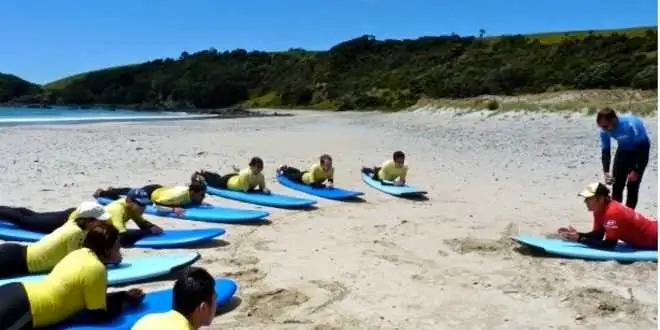 Ultimate Surf Tour package - Ngunguru, New Zealand