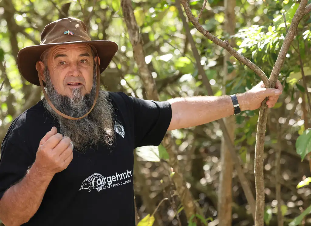 Indigenous Yarning Tour | Tweed Heads