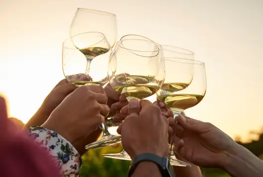 Singlefile Wines Denmark: A Sense of Place