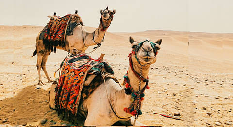 Jaisalmer - North India Adventure