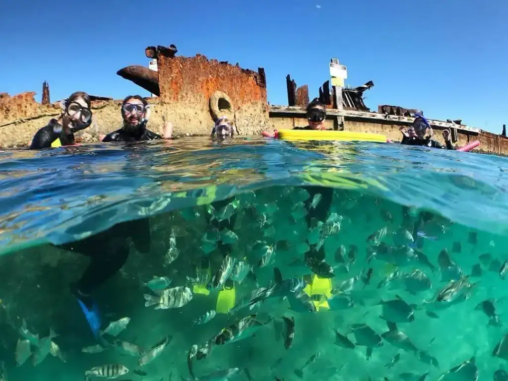 Moreton Island Snorkel & 4WD Day Trip from Brisbane
