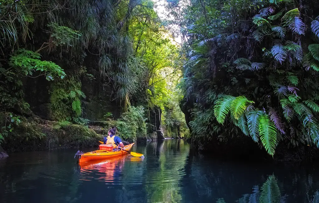 Scenic Lake Mclaren Kayak Tour