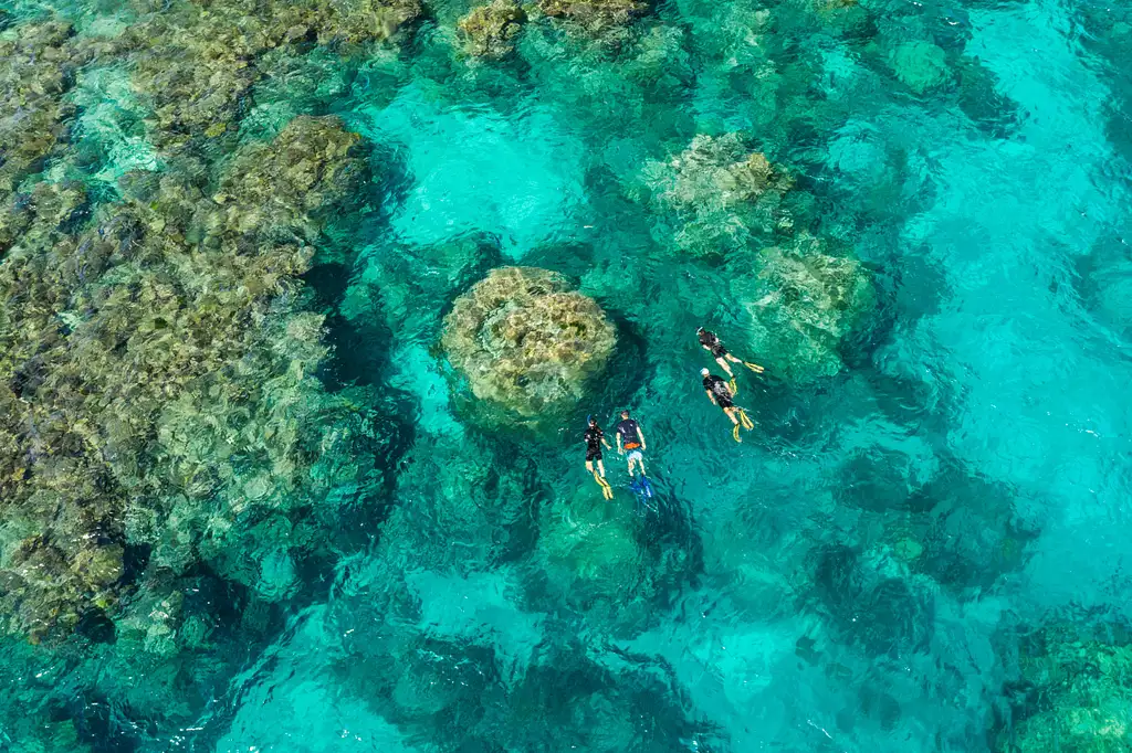 Calypso Outer Great Barrier Reef Snorkel Tour | From Port Douglas