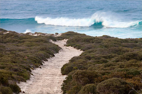 Surf & Sand Buggy Adventure (2 hours) beach