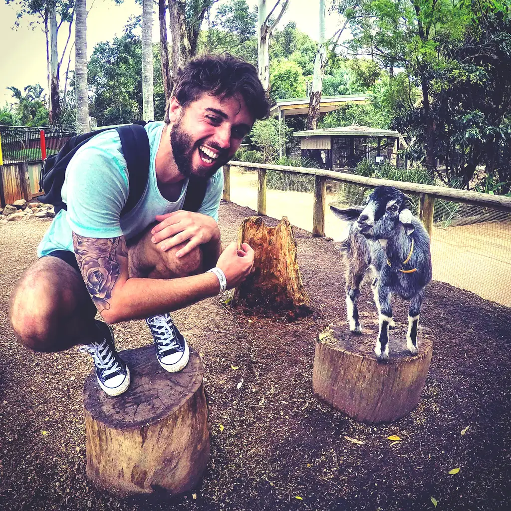 Byron Bay Koala and Kangaroo Safari