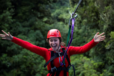 The Original Canopy Tour