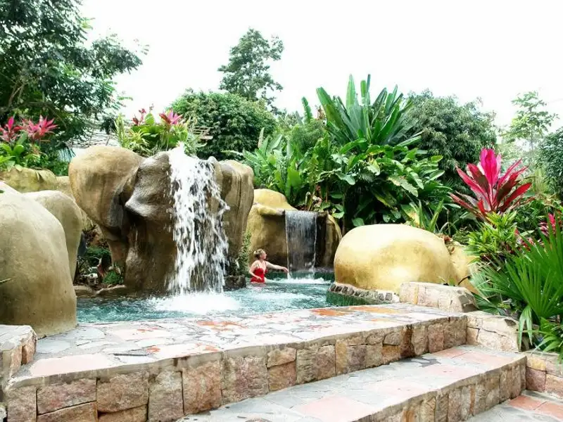 Arenal Volcano and Tabacón or Baldi Hot Springs From San José
