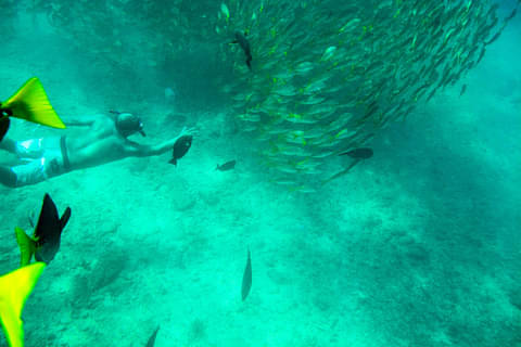 Glass Botom Kayak/Snorkel at the two bays