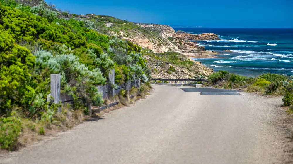 Mornington Peninsula Day Tour