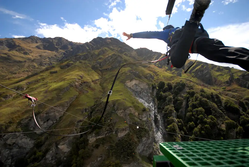 Shotover Canyon Fox