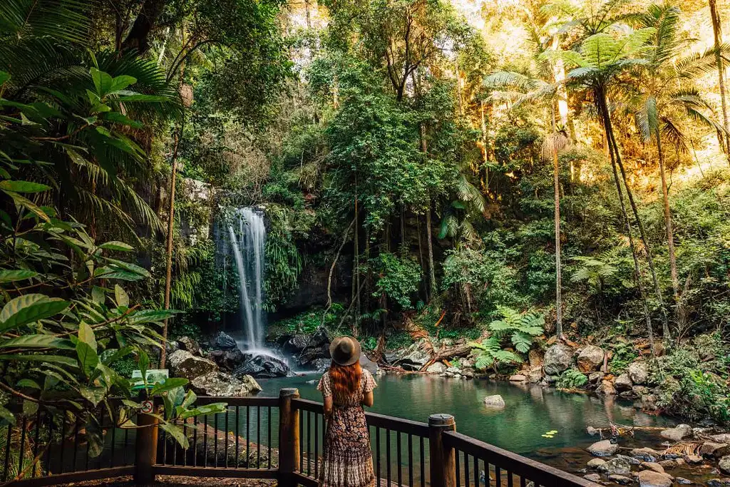 Glow Worm Tour & Mt Tambourine Hop on Hop off | Brisbane or Gold Coast