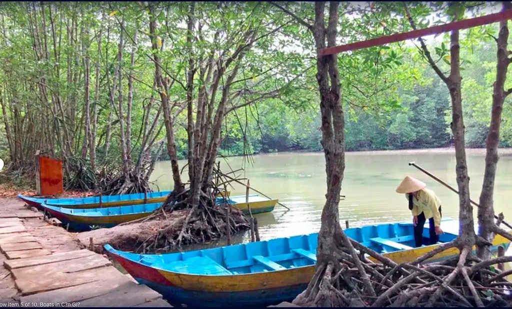 Can Gio and Monkey Island Tour with Lunch | Full Day Guided Tour