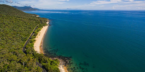 Premium Daintree & Cape Tribulation Day Tour