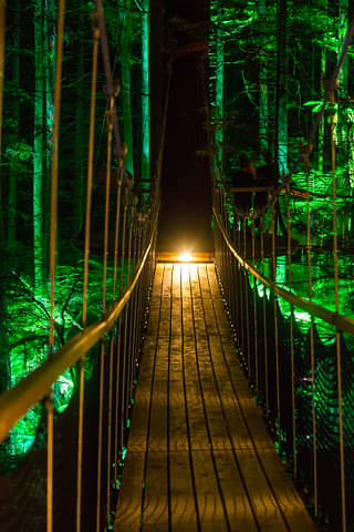 New Zealand Wanderer Discount