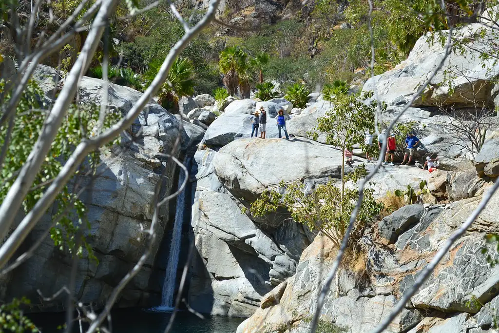 Hiking Tour Of Fox Canyon - Cabo San Lucas