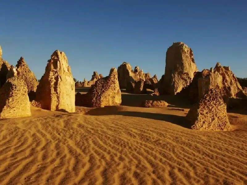 1D Pinnacles Desert Explorer Tour with Lancelin Sand Boarding Tour