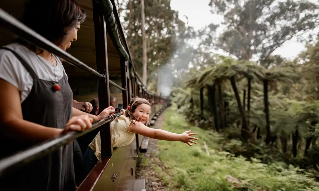 Puffing Billy Steam Train Tour | From Melbourne