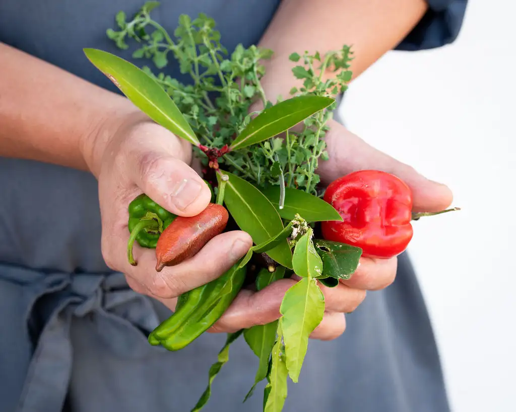Australian Bush Foods Cooking Masterclass | Richmond