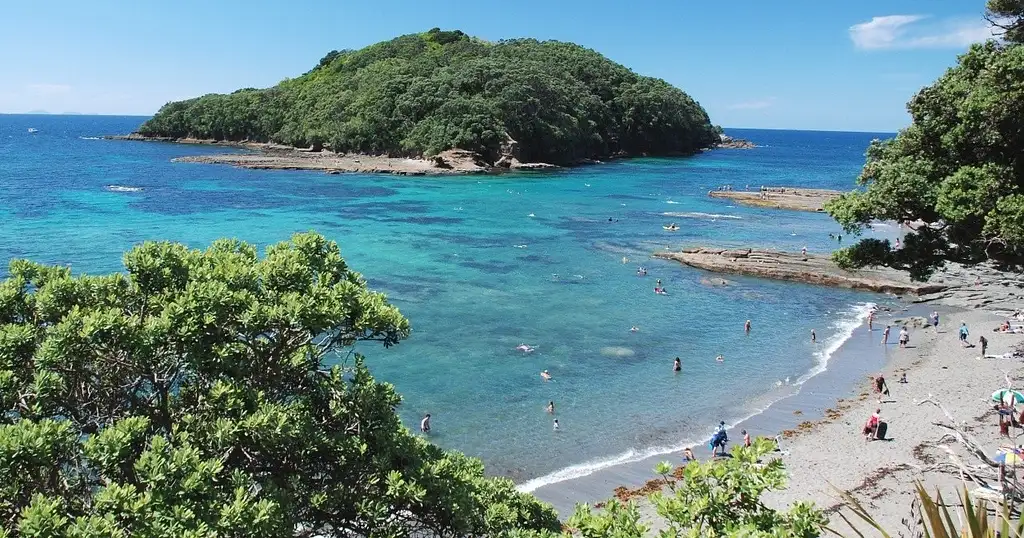Goat Island Marine Reserve Day Tour