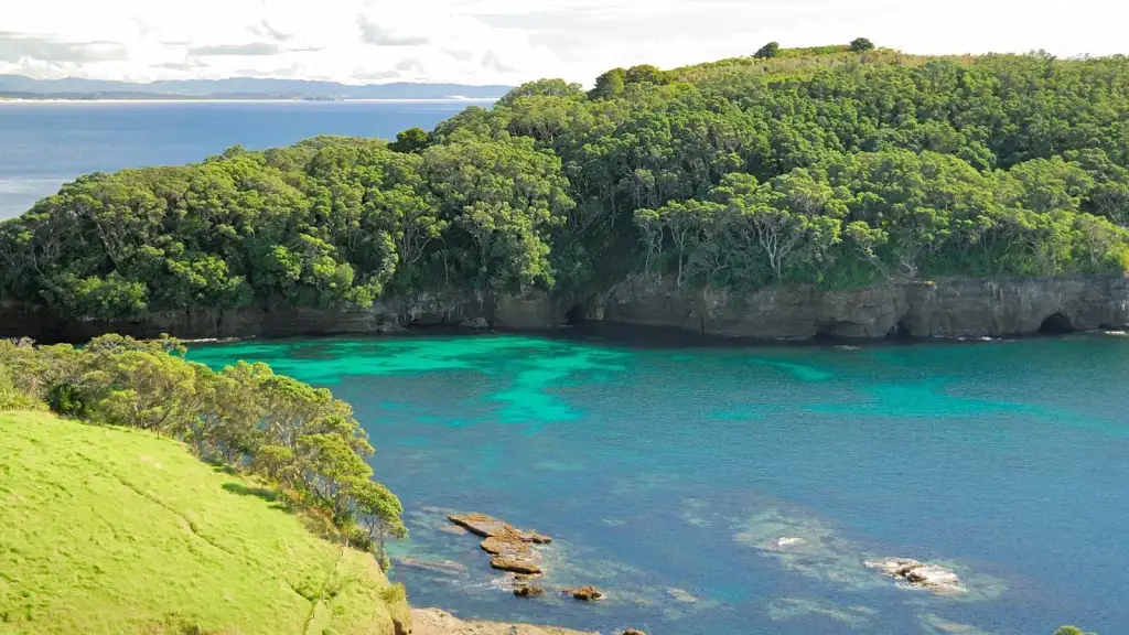 Goat Island Marine Reserve Day Tour