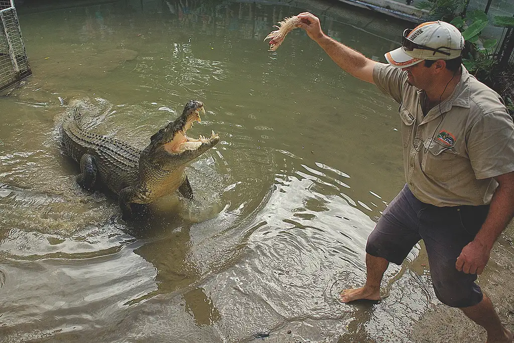 Hartley's Crocodile Adventures | Reptastic 5