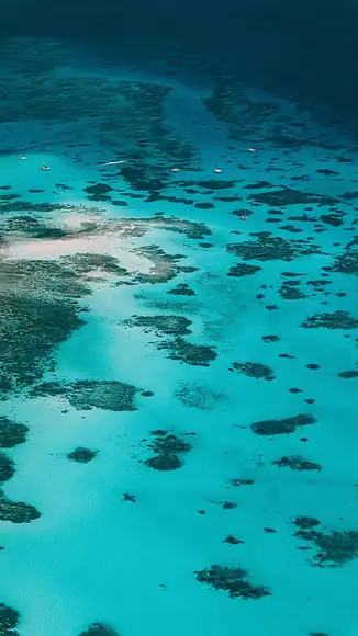 Cairns bucket list experience ✈️