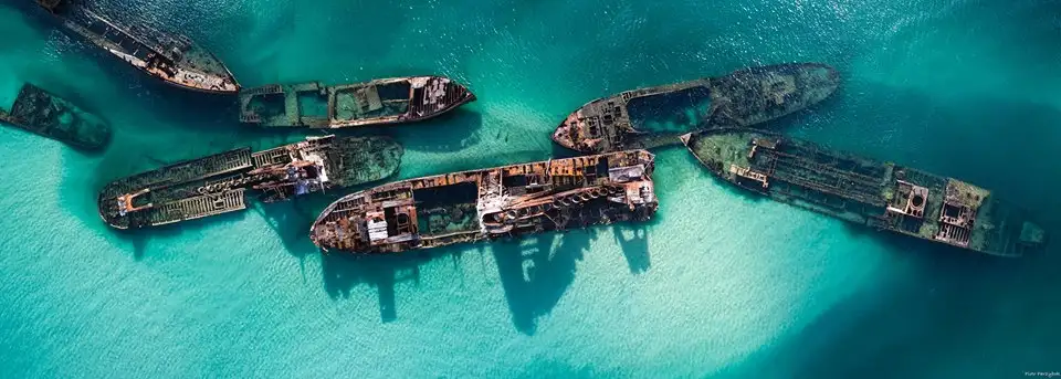 1 Day Moreton Island 4WD Eco Sightseeing Tour