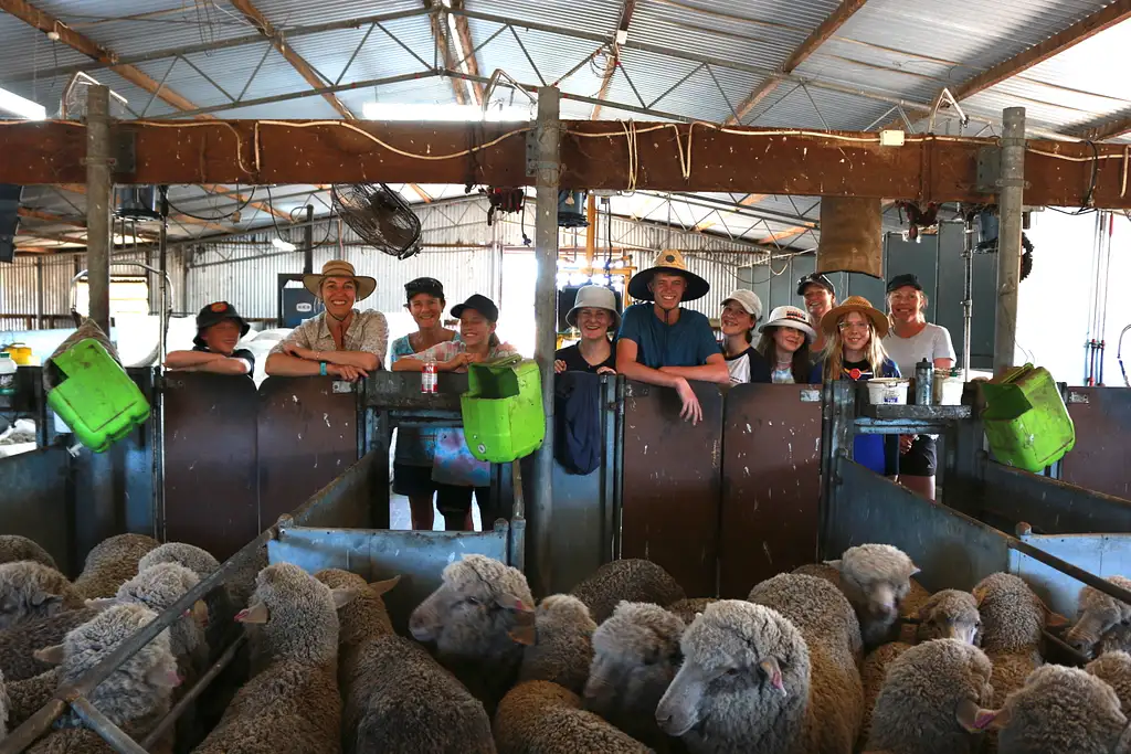 Half Day Oake Marsh Farm Tour