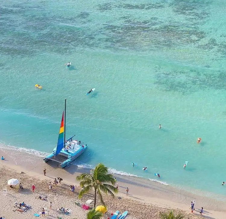 Waikiki Turtle Snorkel Adventure