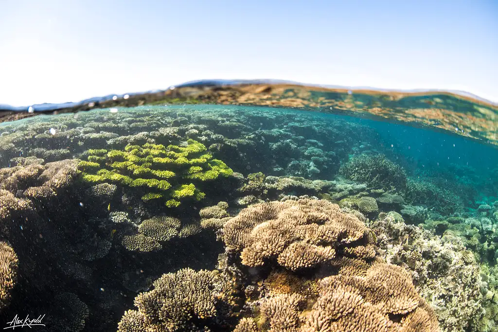Afternoon Sail & Snorkel | Coral Bay