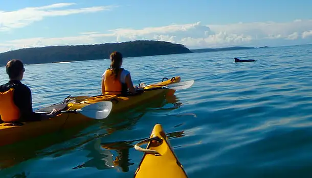 Half-Day Sea Kayak Tour at Batemans Bay