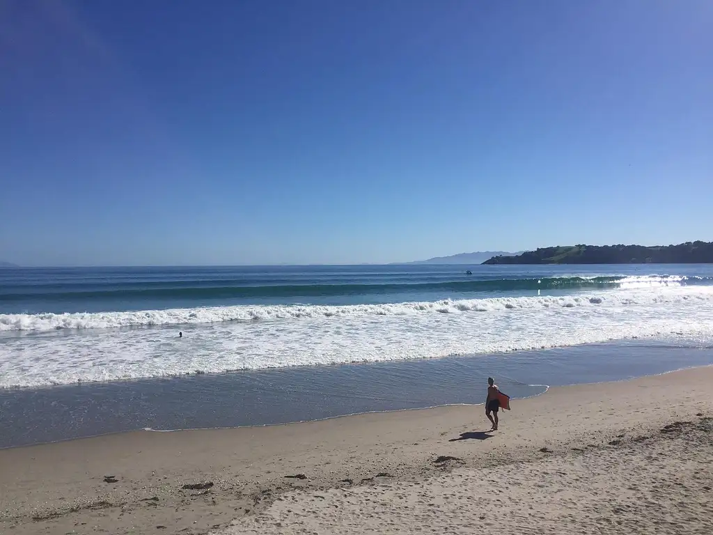 The Essence of Waiheke Wine Tour