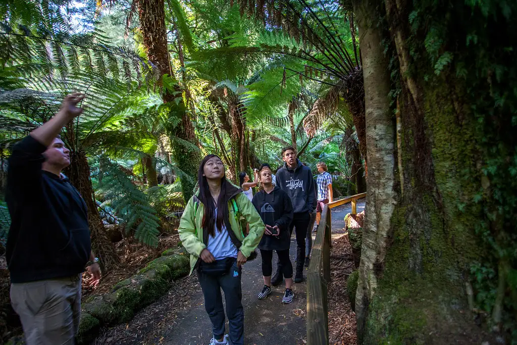Mount Field, Mt Wellington & Wildlife Sanctuary Tour From Hobart