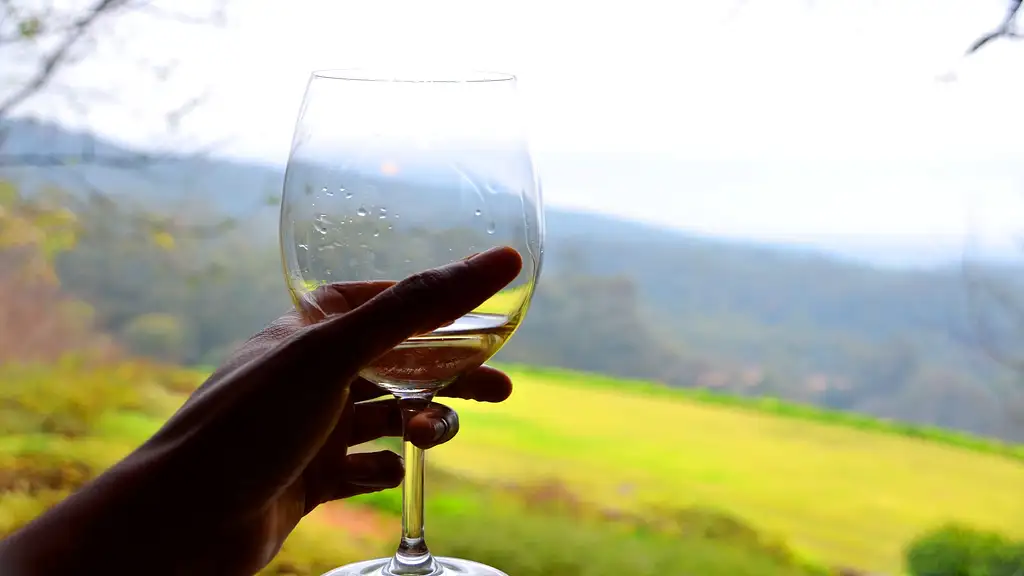 Cape Winelands - Full Day Tour