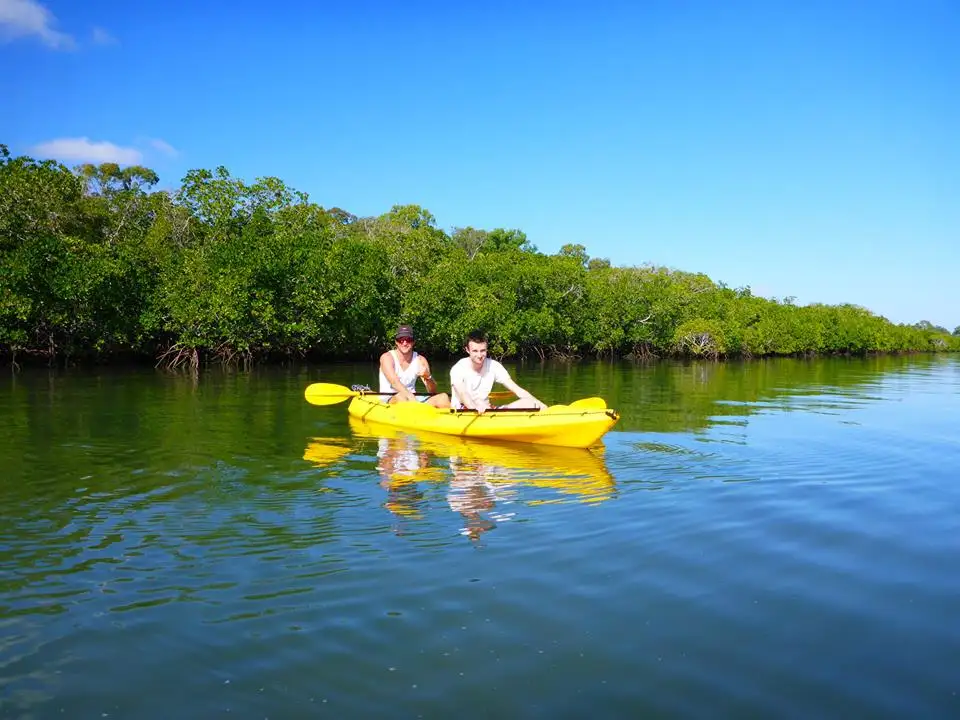 Turtle View Kayak Tour | Rainbow Beach