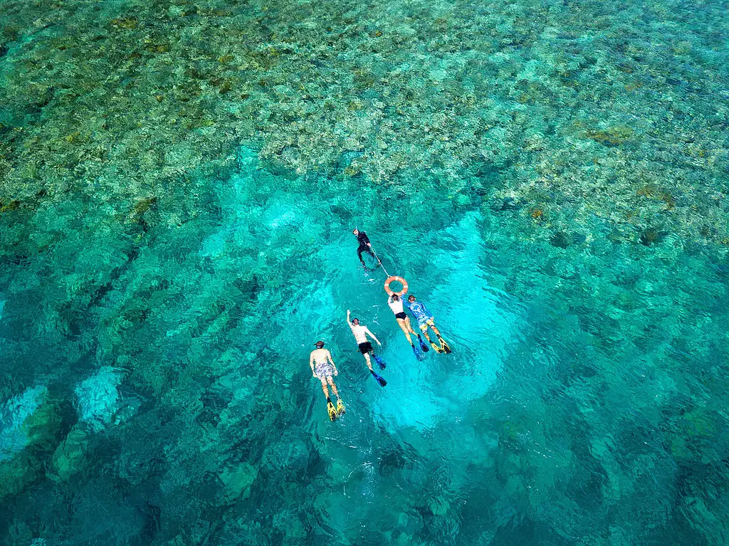Outer Great Barrier Reef Day Trip on AquaQuest
